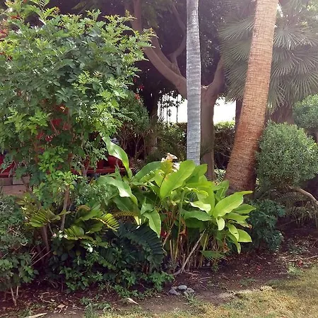 Tropical Garden Maspalomas *