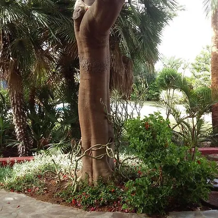 Tropical Garden Maspalomas *